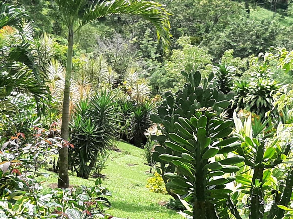 Marita'S Bed And Breakfast Nuevo Arenal Exteriör bild