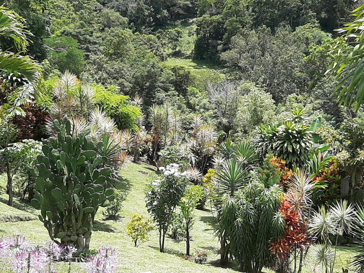 Marita'S Bed And Breakfast Nuevo Arenal Exteriör bild