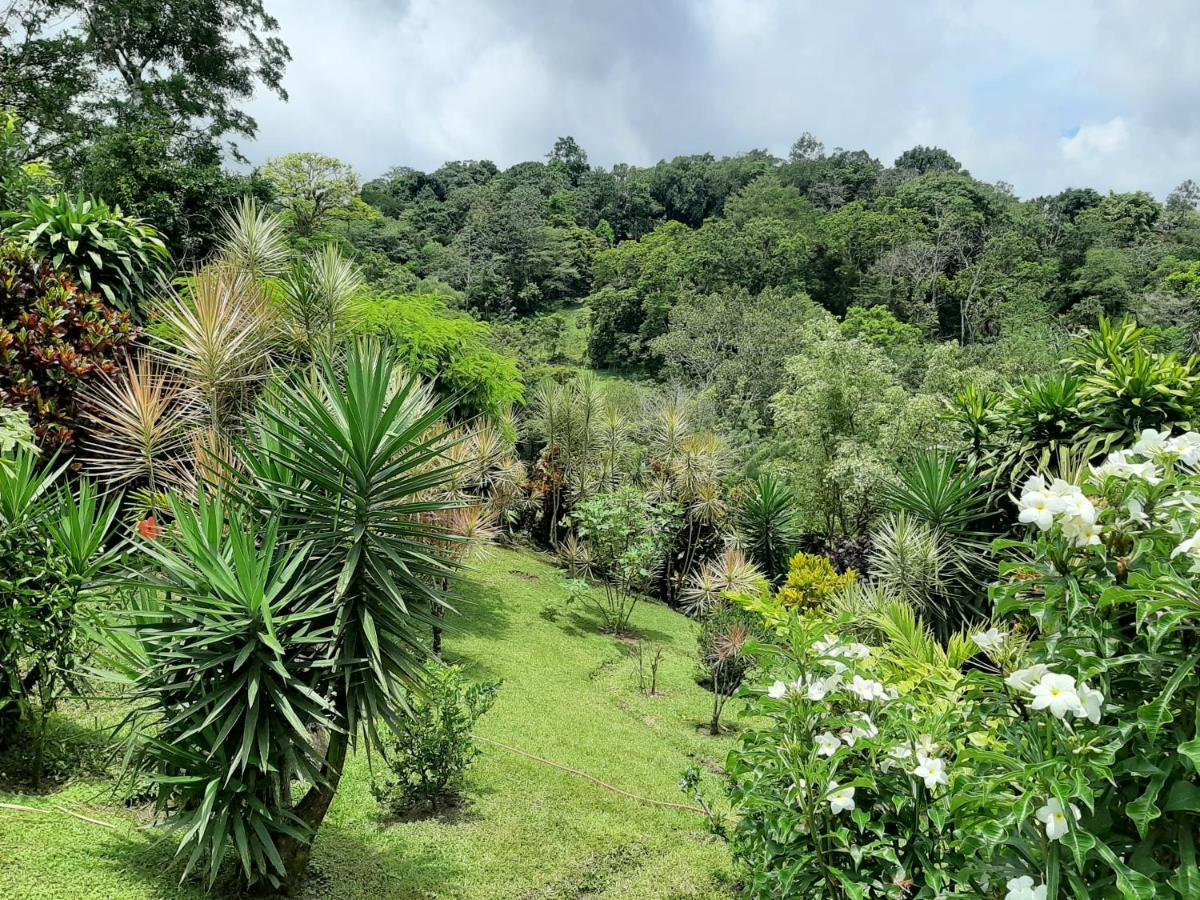 Marita'S Bed And Breakfast Nuevo Arenal Exteriör bild