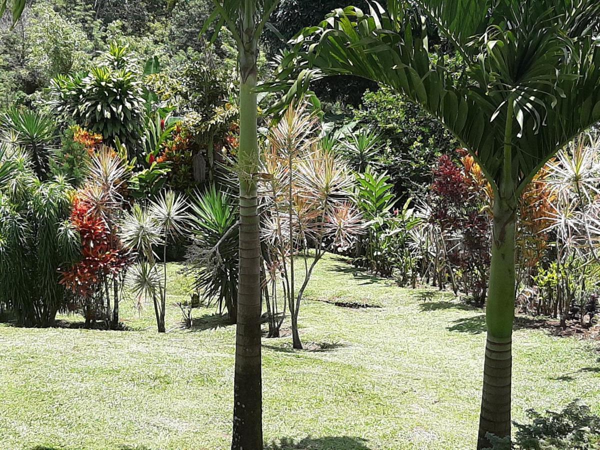 Marita'S Bed And Breakfast Nuevo Arenal Exteriör bild