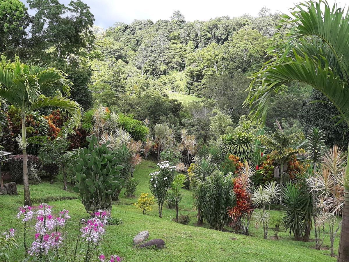 Marita'S Bed And Breakfast Nuevo Arenal Exteriör bild