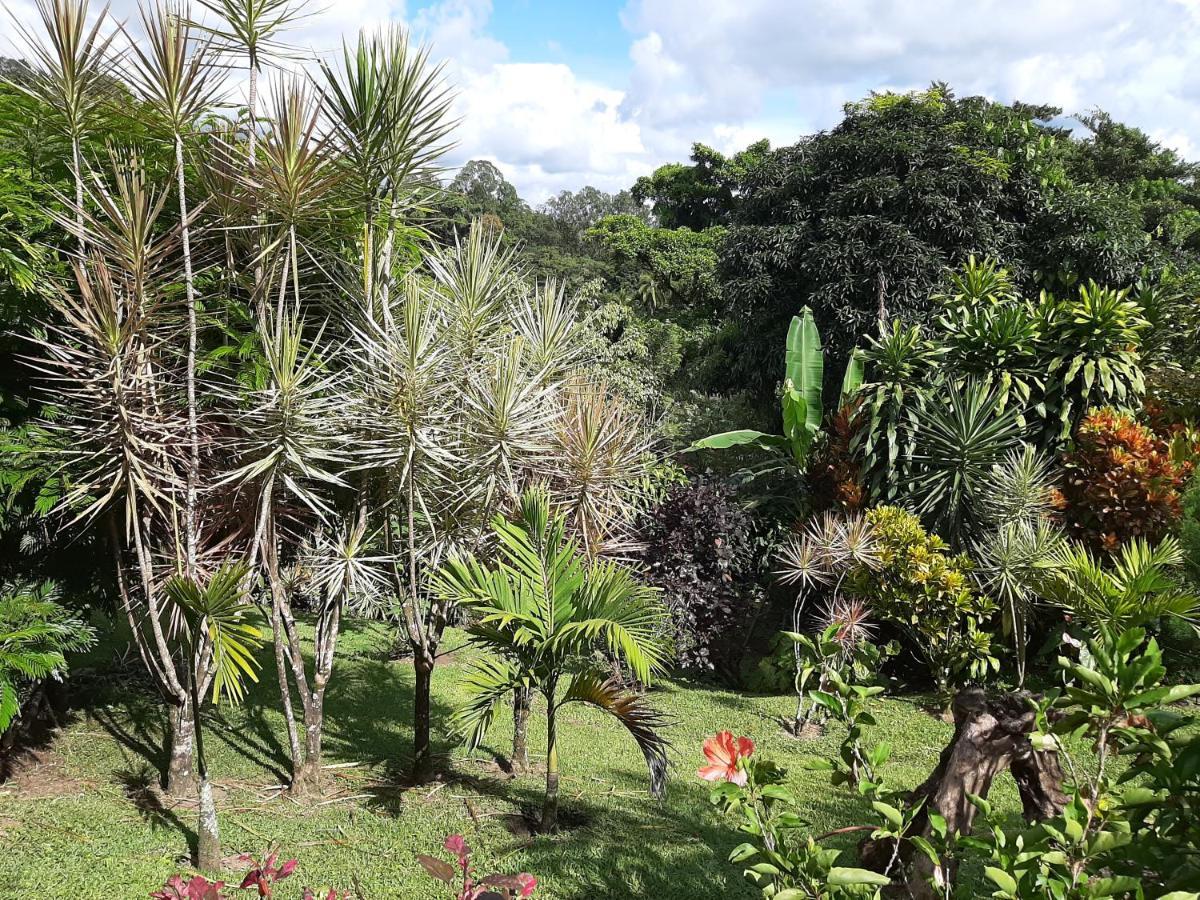 Marita'S Bed And Breakfast Nuevo Arenal Exteriör bild